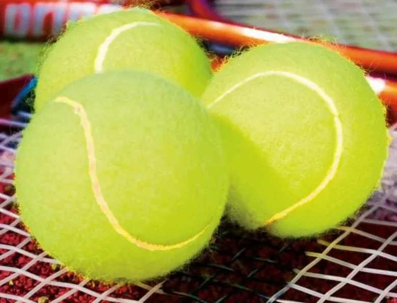 Пеллегрино — Фатич. Финал ATP Challenger 125 Перуджа. Прямая трансляция 15.06.2025 в 21:30